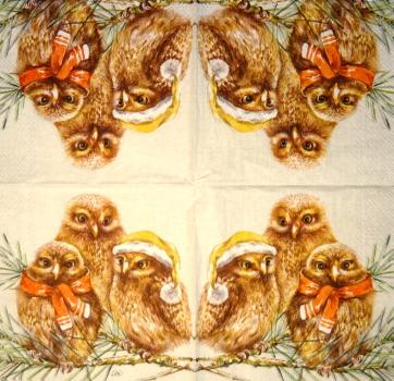 116 Owls - ply - Kalamazoo - CS - 24x24cm